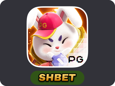 Fortune Rabbit