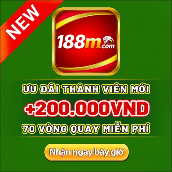 188M Slot Chống Gãy Cầu Việt Nam